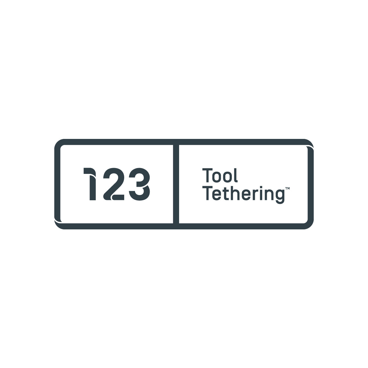 123 Tool Tethering System